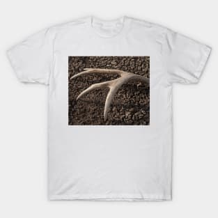 Lonley Antler T-Shirt